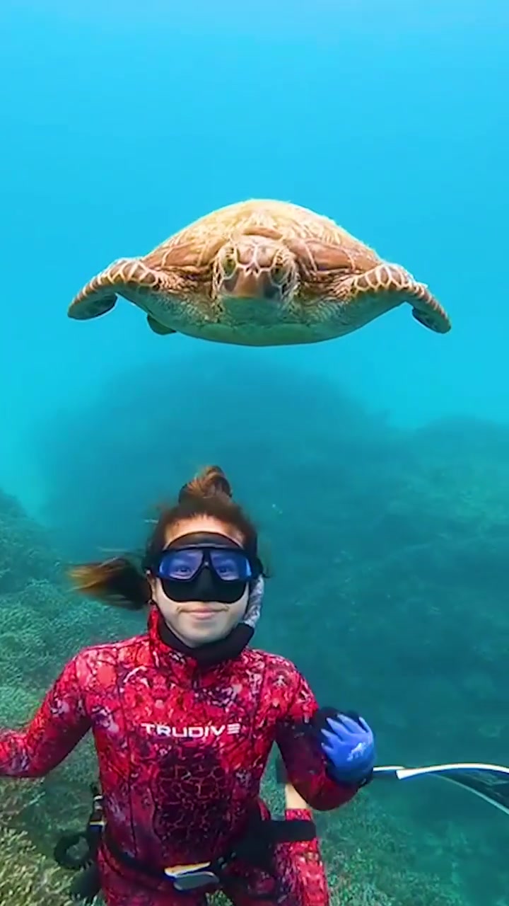 Freediving with Sea Turtles in Okinawa