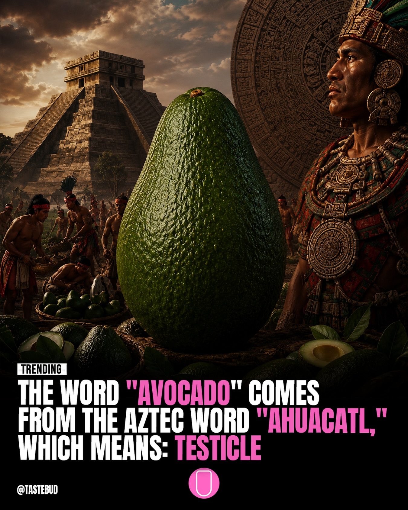The Surprising Aztec Origin of the Word 'Avocado