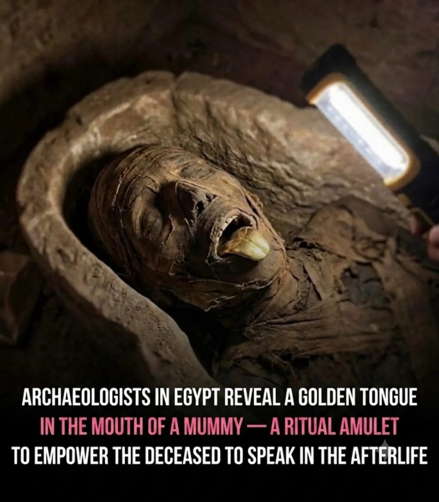 Golden Tongue Mummy: Egypt's 2,000-Year-Old Speech Amulet