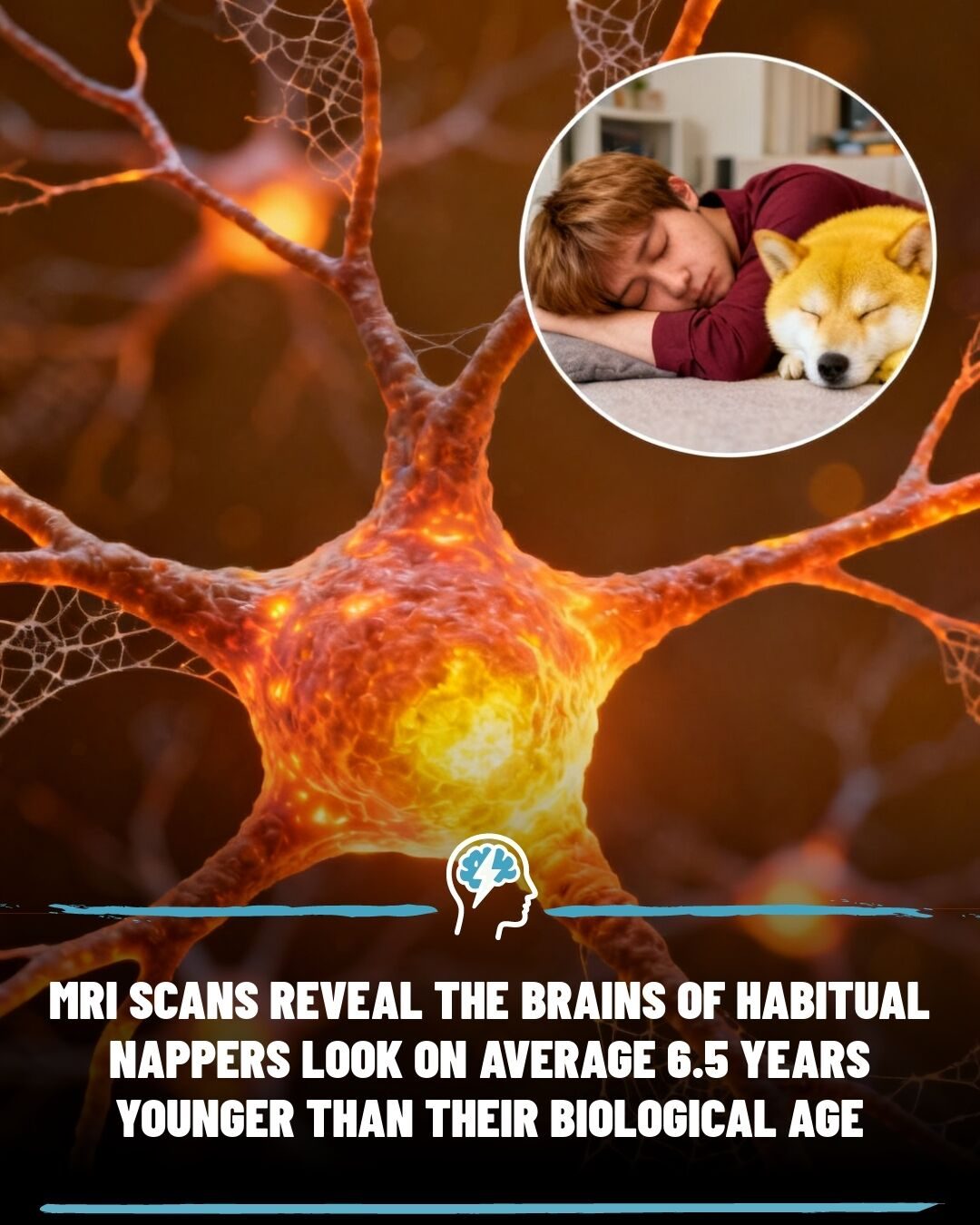 ### How Napping May Keep Your Brain Younger