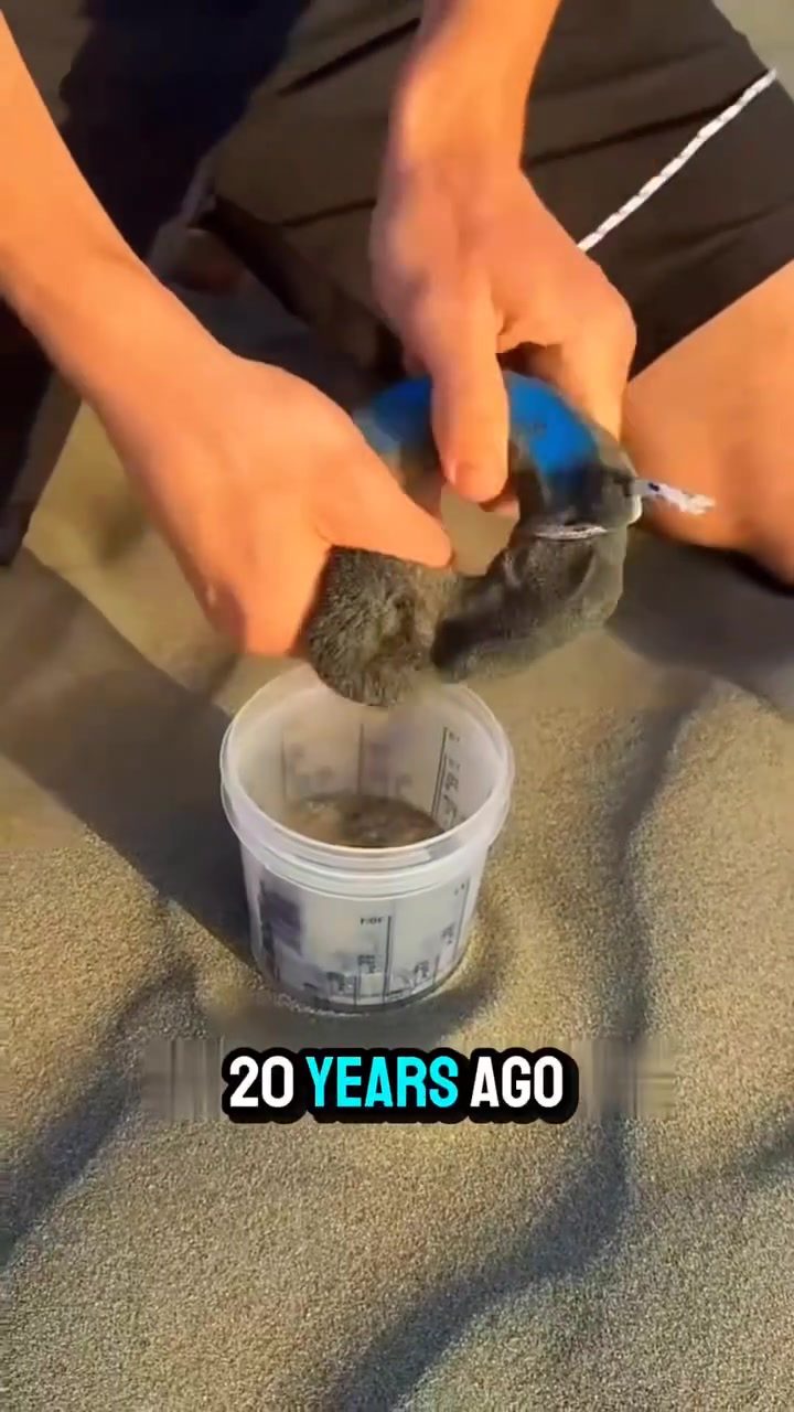 Iron Extraction From Beach Sand: Risks and History