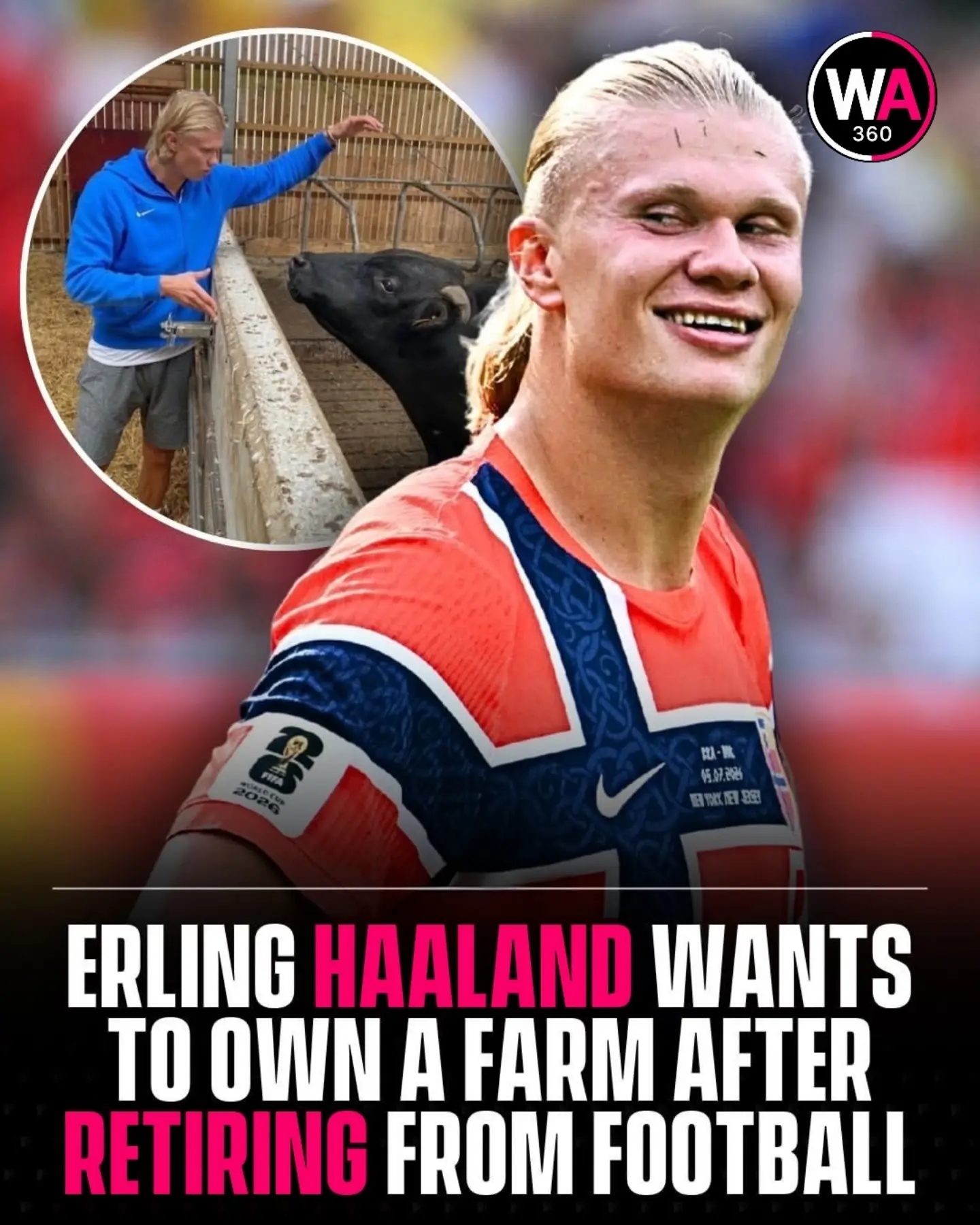 Erling Haaland's Surprising Retirement Plan: Farm Life