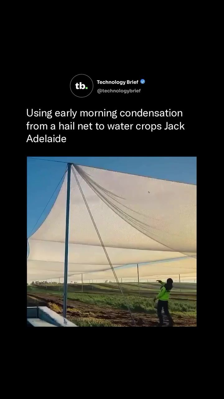 Innovative Hail Net Water Harvesting for Crops