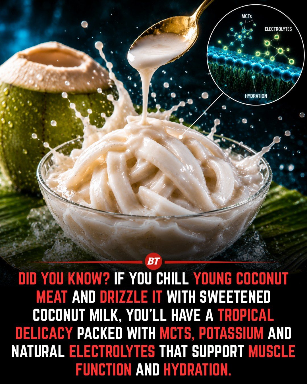 The Benefits of Chilled Young Coconut with Coconut Milk
