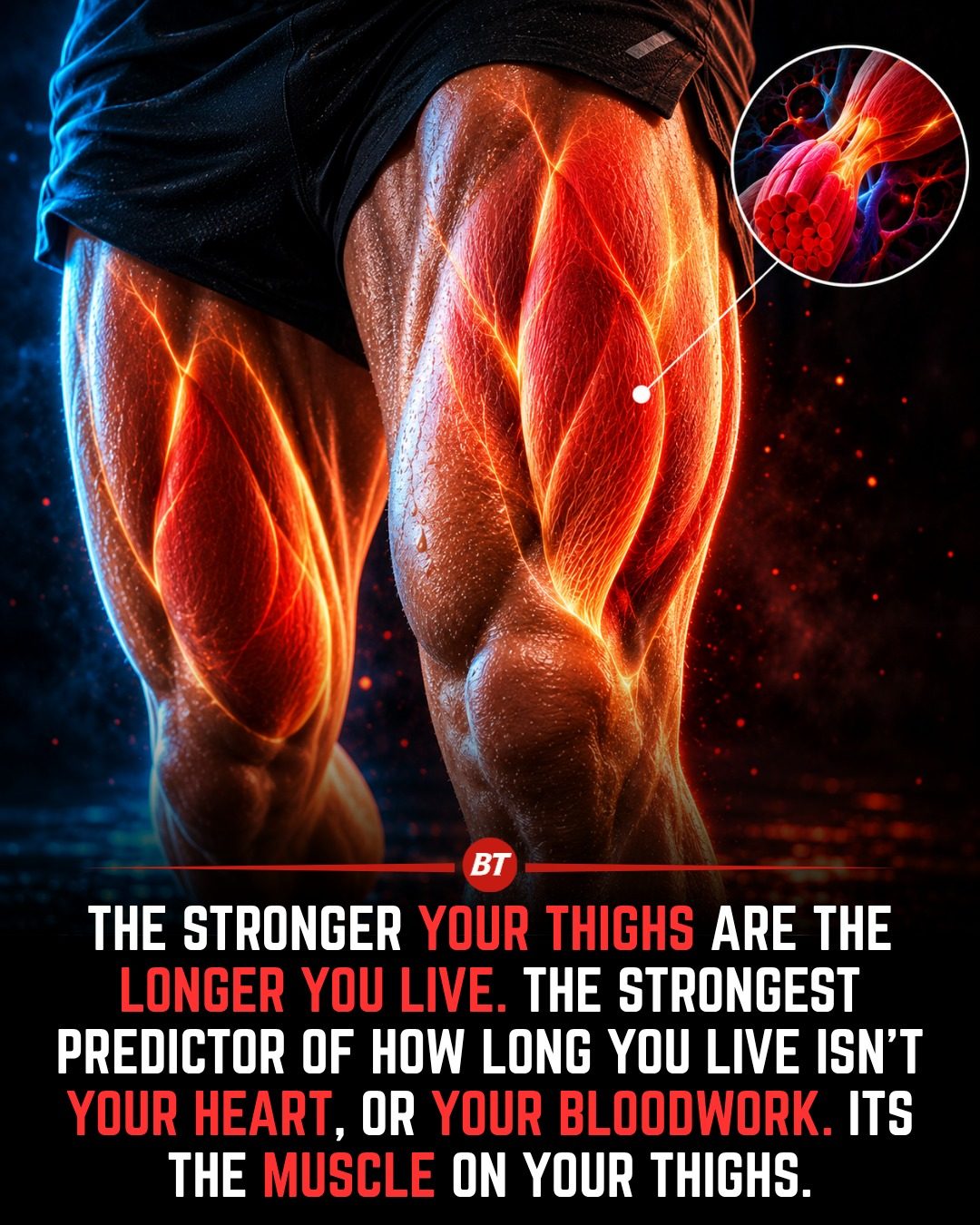 The Science Behind Strong Thighs: Predicting Longevity