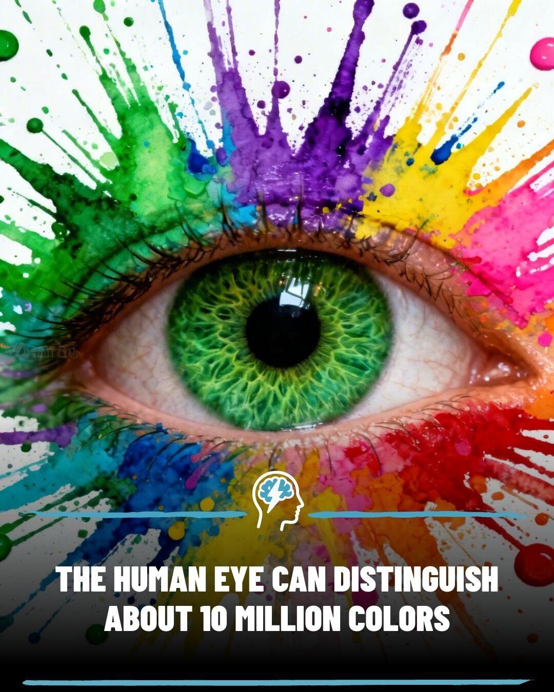 The Science Behind Our Eyes' Ability to See 10 Million Colors