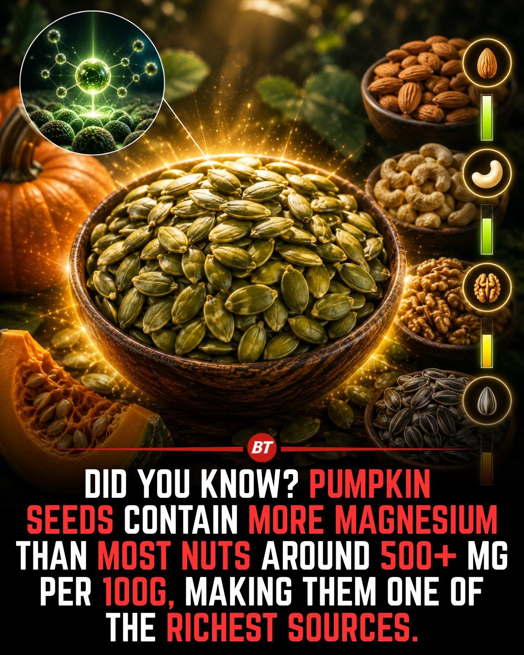 Pumpkin Seeds: Your Top Source for Magnesium