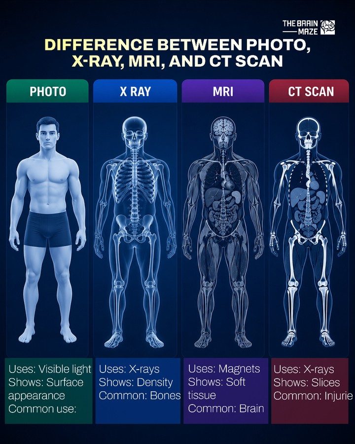 Learn About Four Medical Imaging Techniques: Photo, X-ray, MRI, and CT Scans
