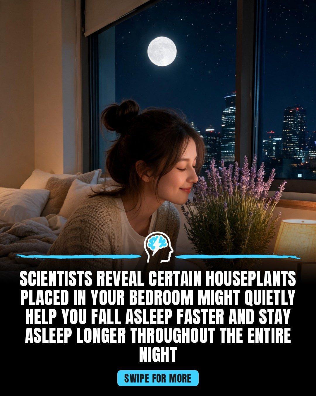 Top Houseplants for Improving Sleep Quality