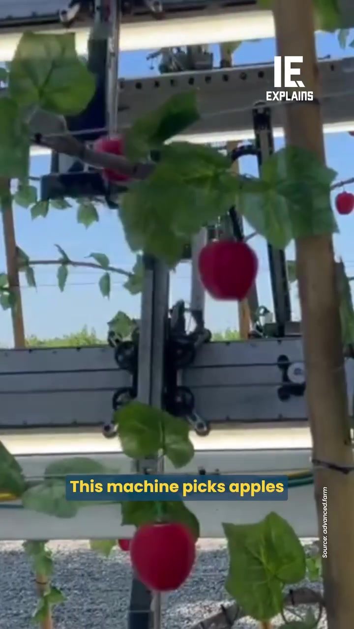 Robotic Apple Harvesting: Revolutionizing Orchard Efficiency