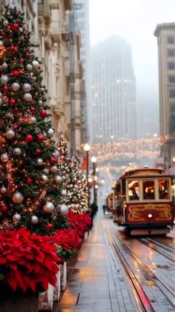 A Festive Christmas in San Francisco: Winter Wonderland