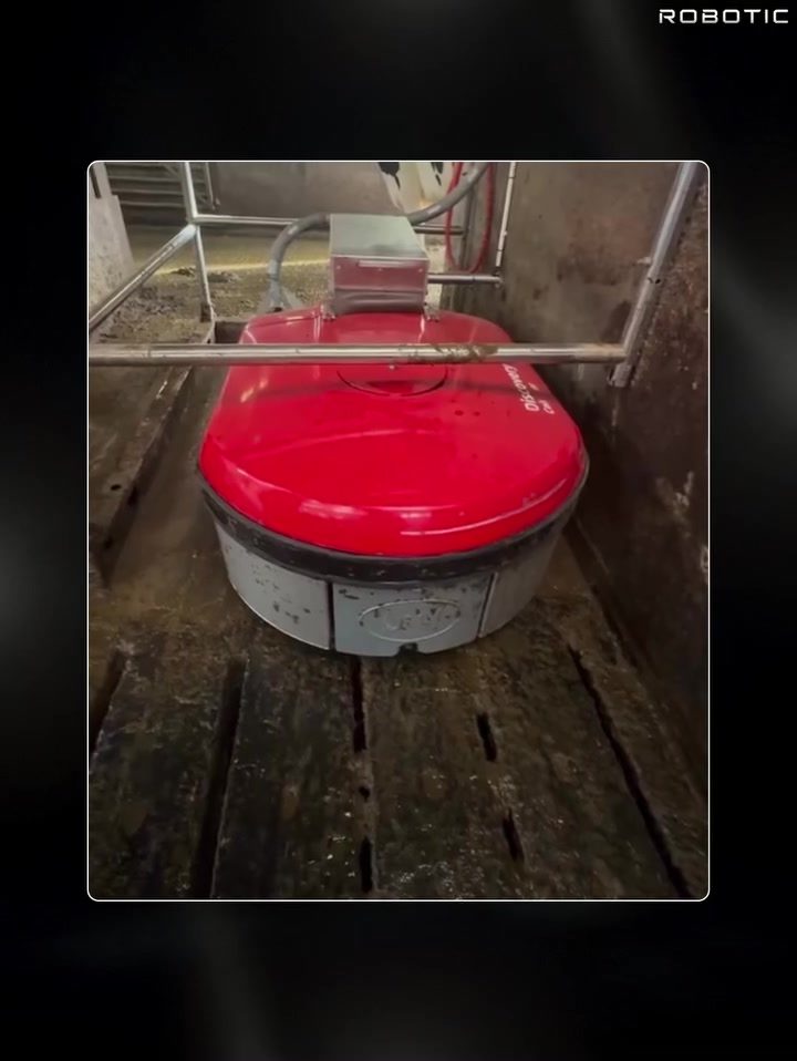 Automating Dairy Farming: How Robotic Milking Machines Improve Efficiency