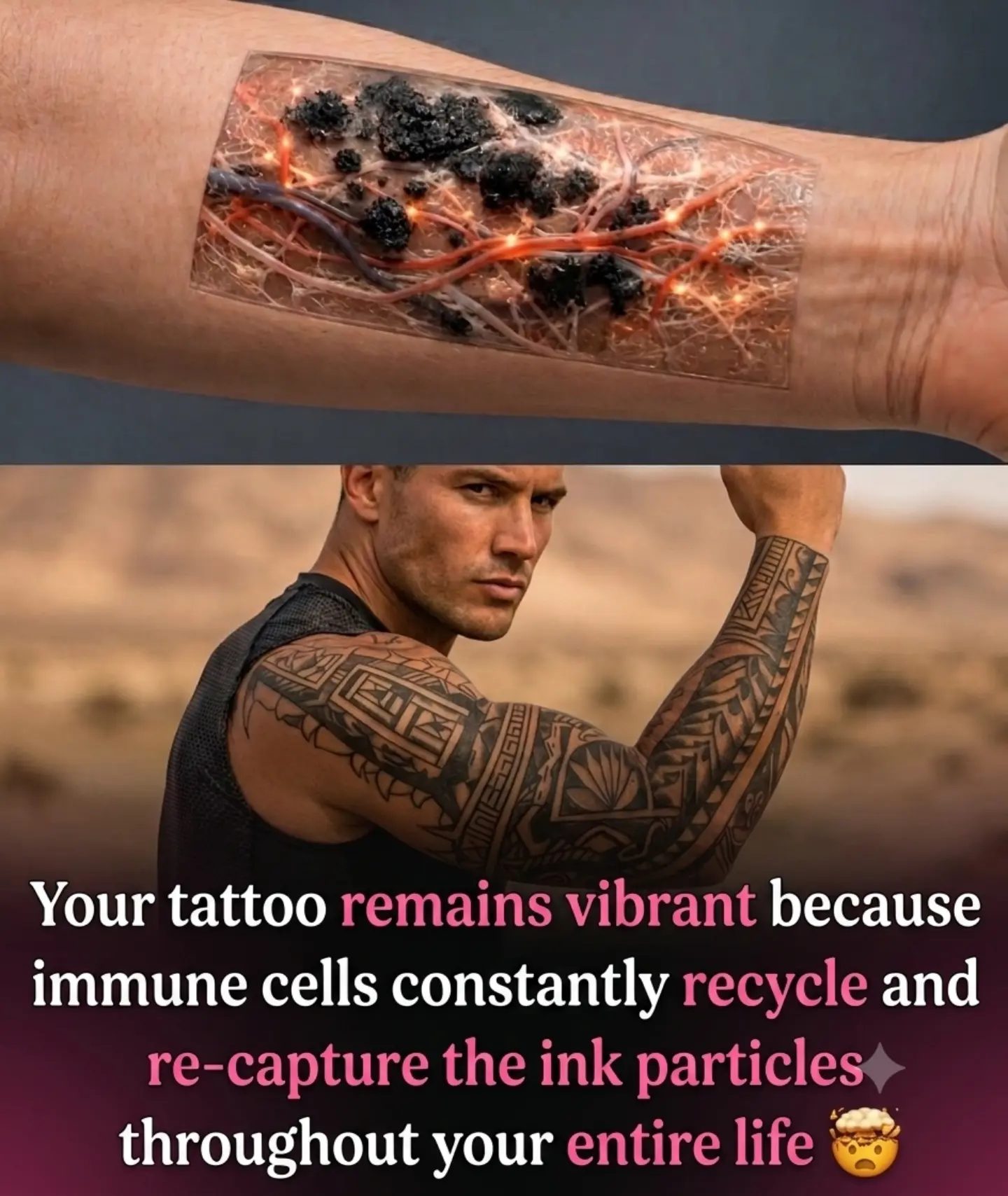 Tattoos: The Immune System's Role in Longevity