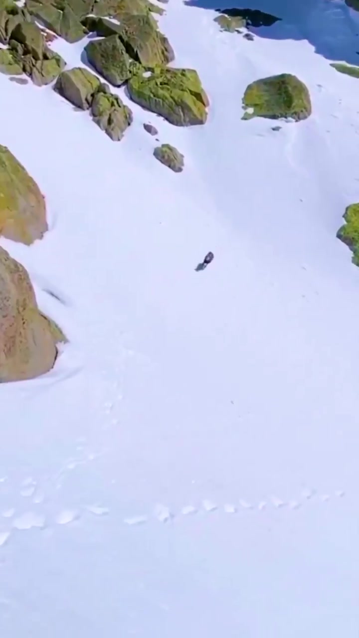 Mountain Skiing: Aerial View of Snowy Slopes