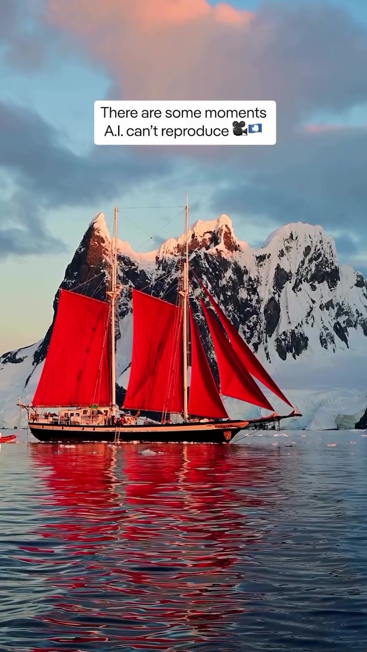 Explore Antarctica's Raw Beauty: Icebergs, Penguins, and More