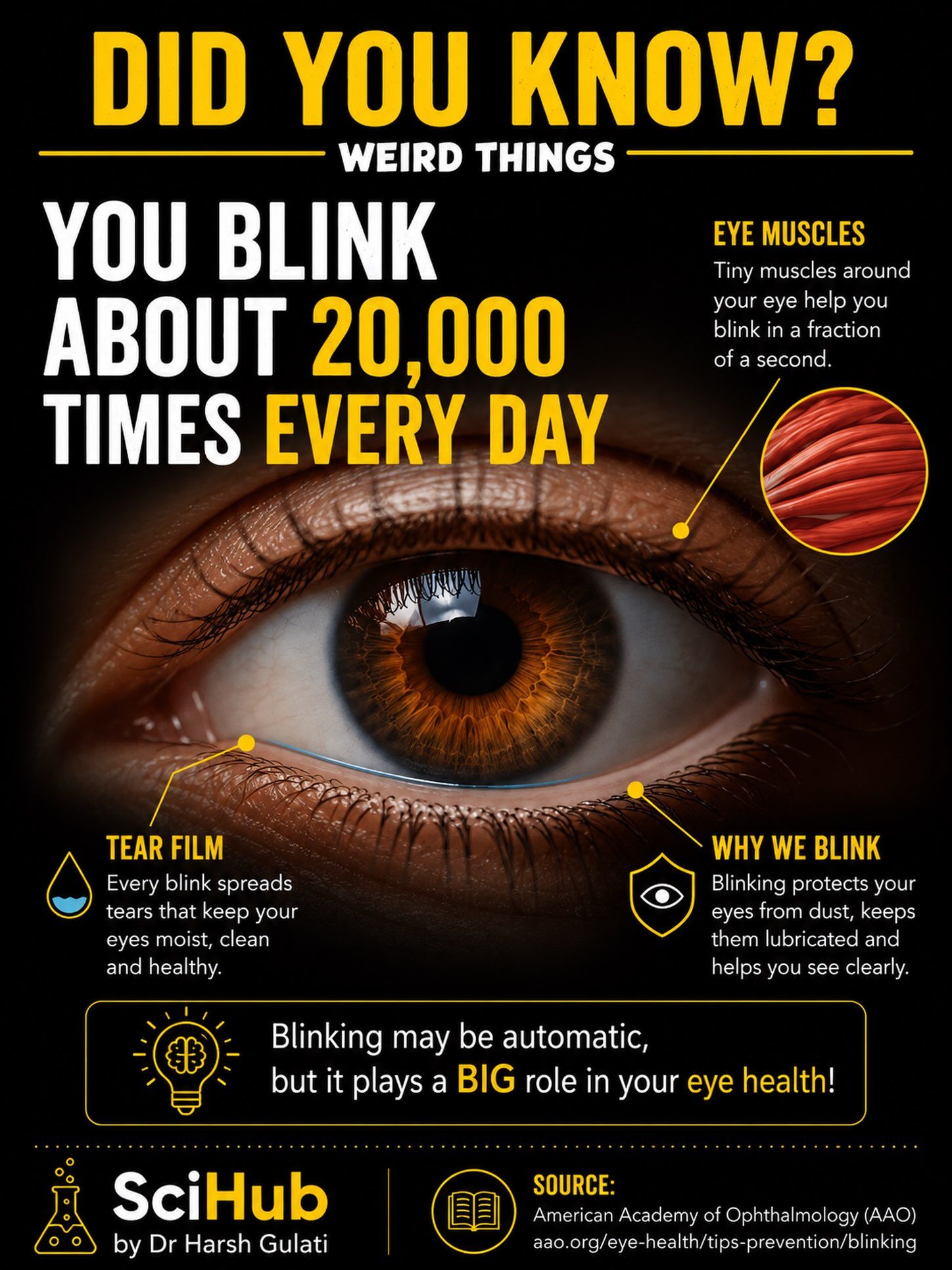 Understanding the Importance of Blinking for Eye Health