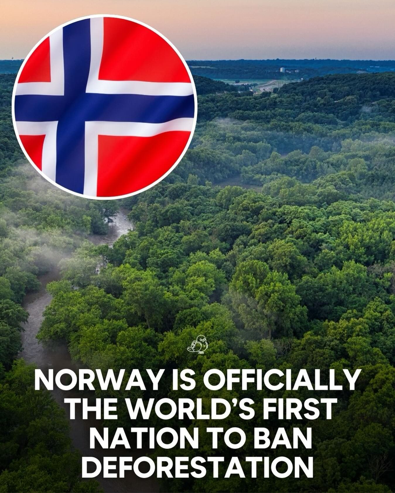 Norway's Zero-Deforestation Policy: World's First Nation to Ban