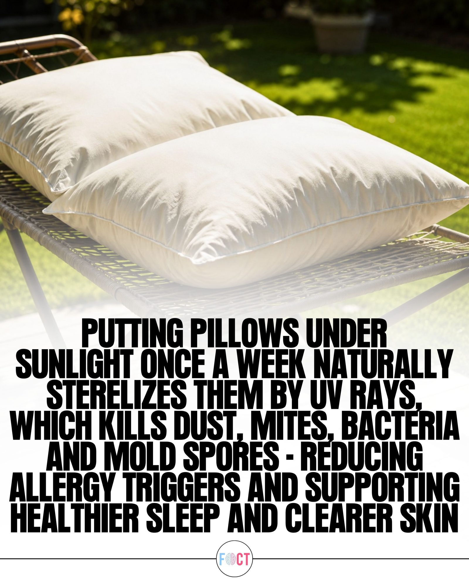 Sunlight's Secret: Sanitize Pillows Naturally outdoors