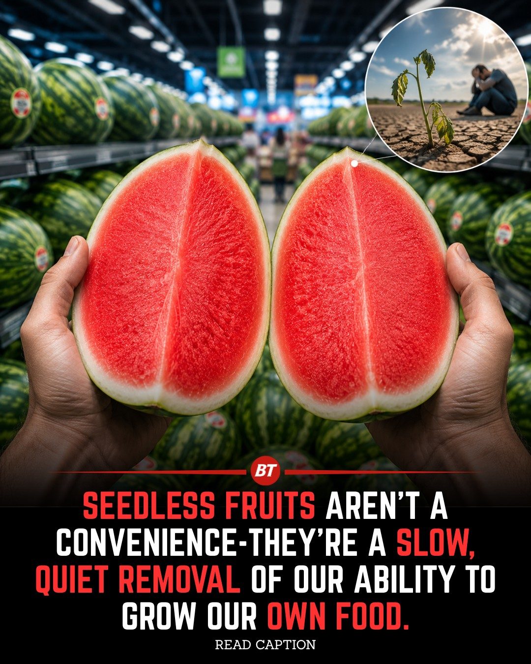 The Hidden Impact of Seedless Watermelons on Food Security