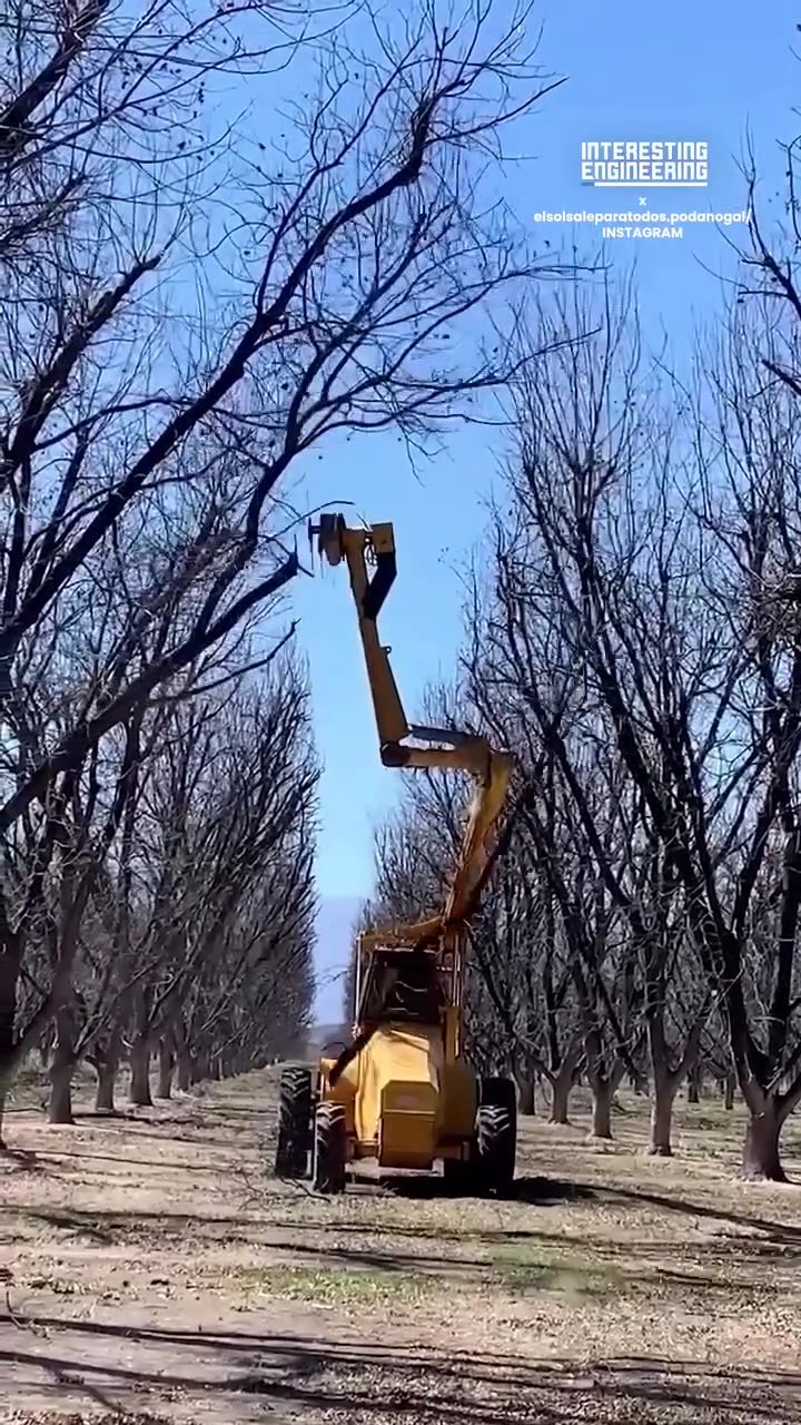 ### Boost Orchard Health: Tree Pruning Machine Efficiency