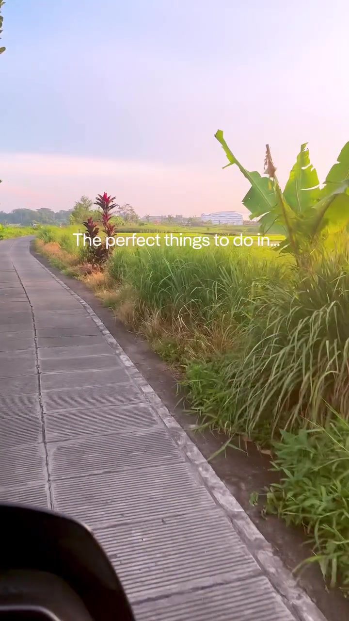Ultimate Canggu Bali Guide: Best Places to Eat, Shop, and Relax