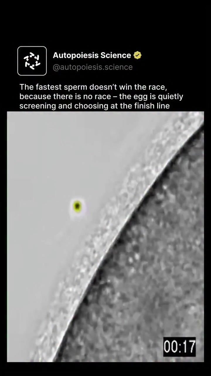 The Egg's Role in Choosing the Best Sperm