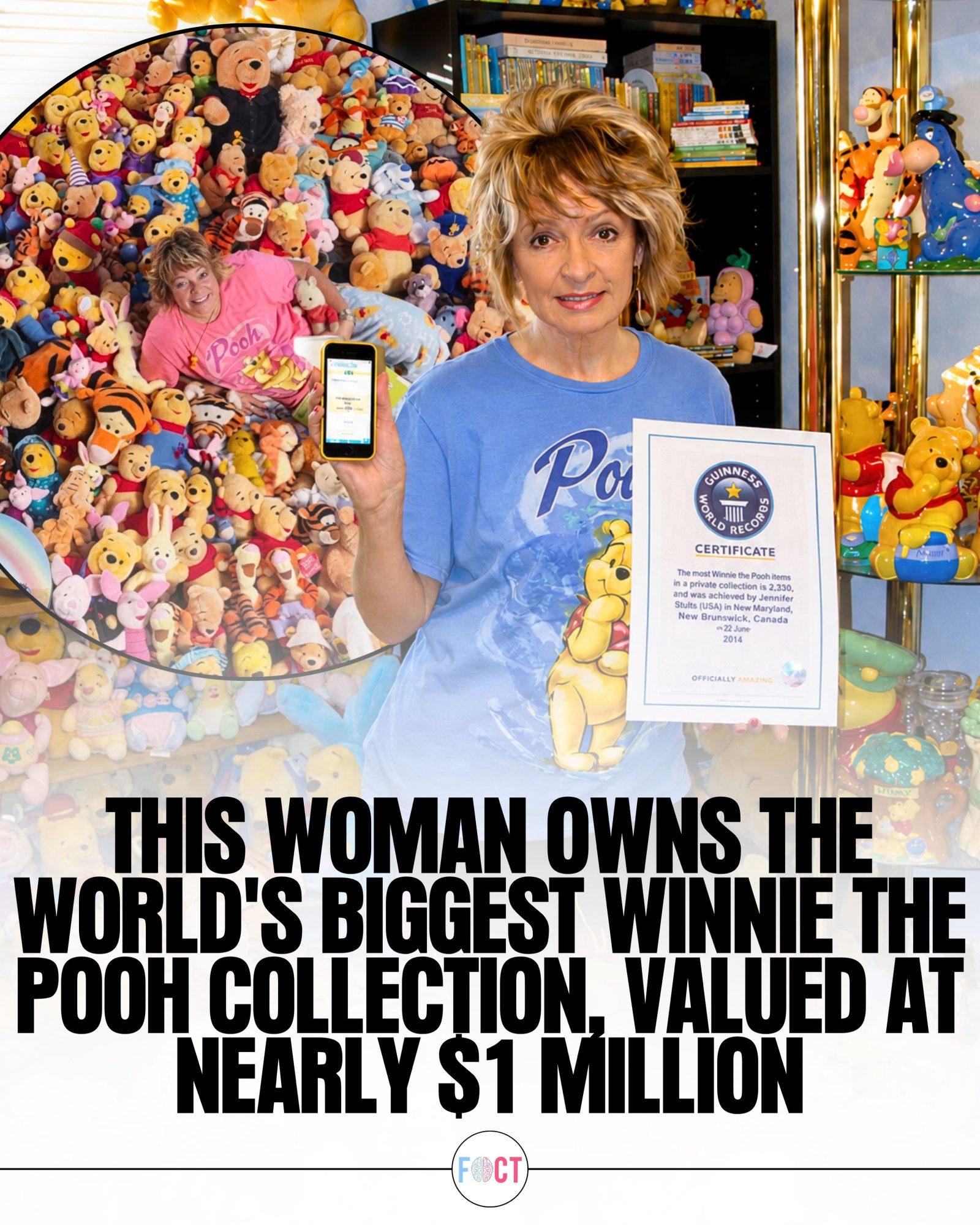 Woman's $1 Million Guinness Record Winnie the Pooh Collection