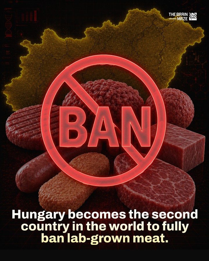 Hungary Bans Lab-grown Meat to Protect Traditional Farming