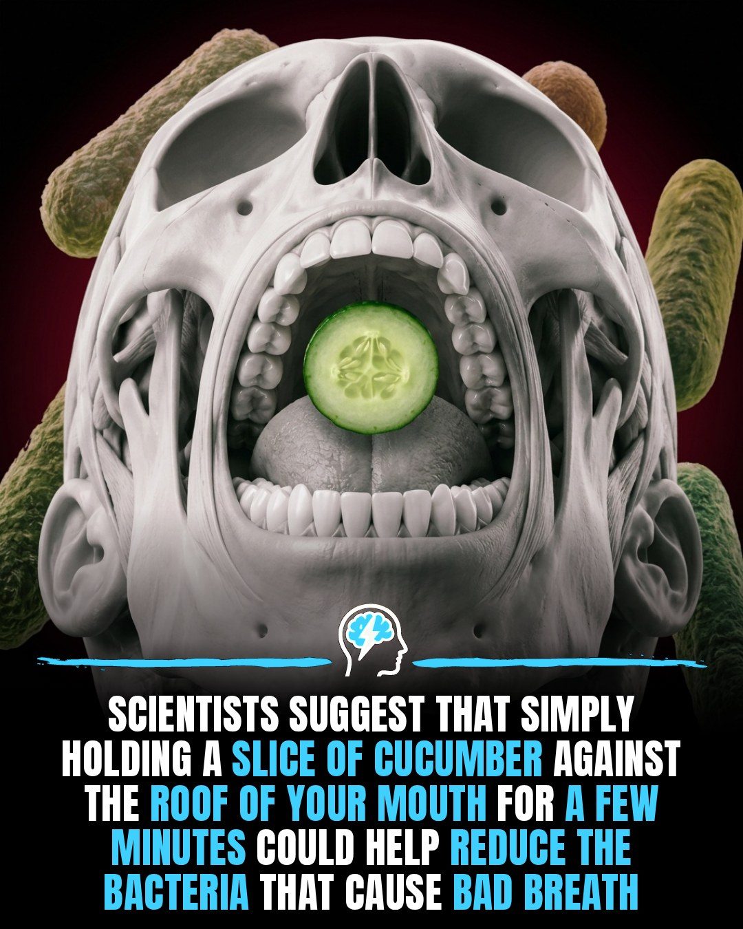 Cucumber: Your Natural Weapon Against Bad Breath