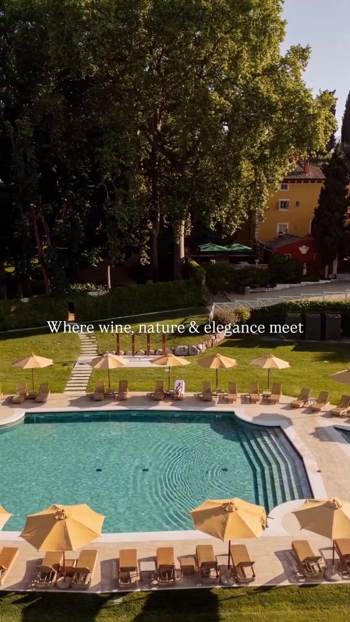 Discover the Perfect Blend of Wine, Nature, and Luxury