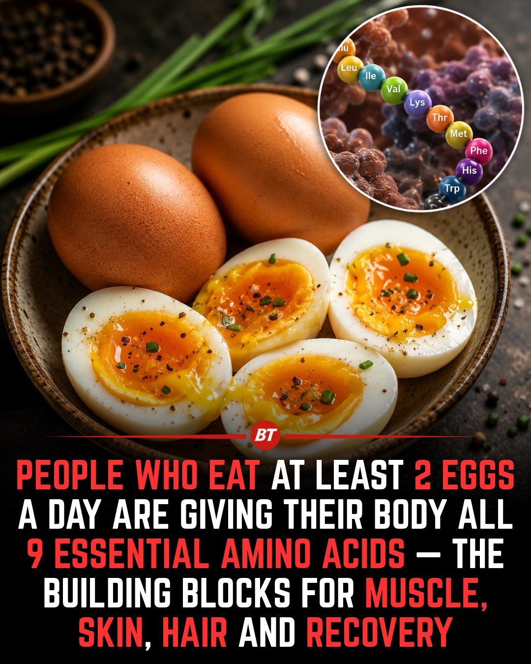 Eggs: The Complete Protein for Muscle, Skin & Recovery