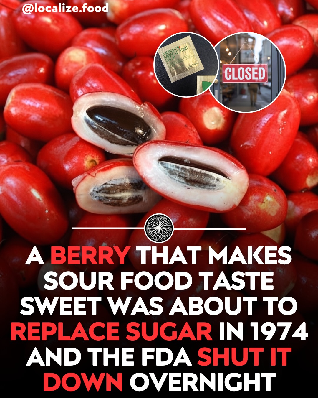Miracle Fruit: FDA Ban and Sugar Replacement History