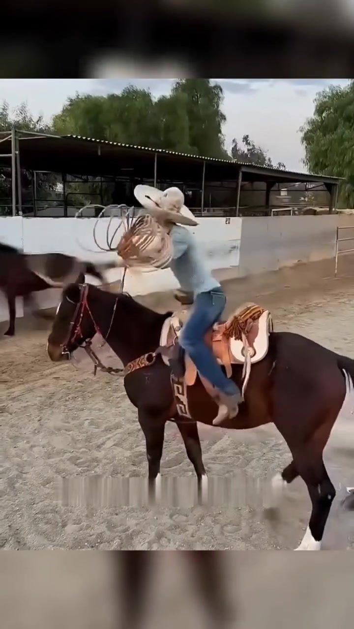 The Purpose of a Saddle Horn in Roping and Ranching