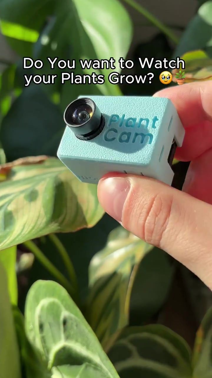 Watch Your Plants Grow with PlantCam Timelapse
