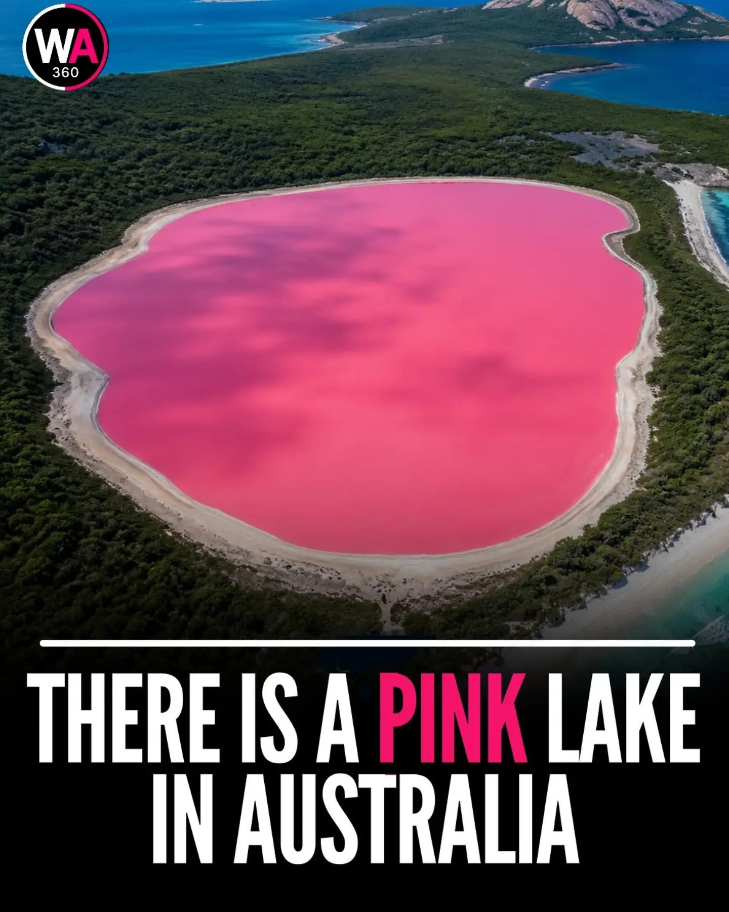 Discover Australia's Enchanting Pink Lake: Lake Hillier