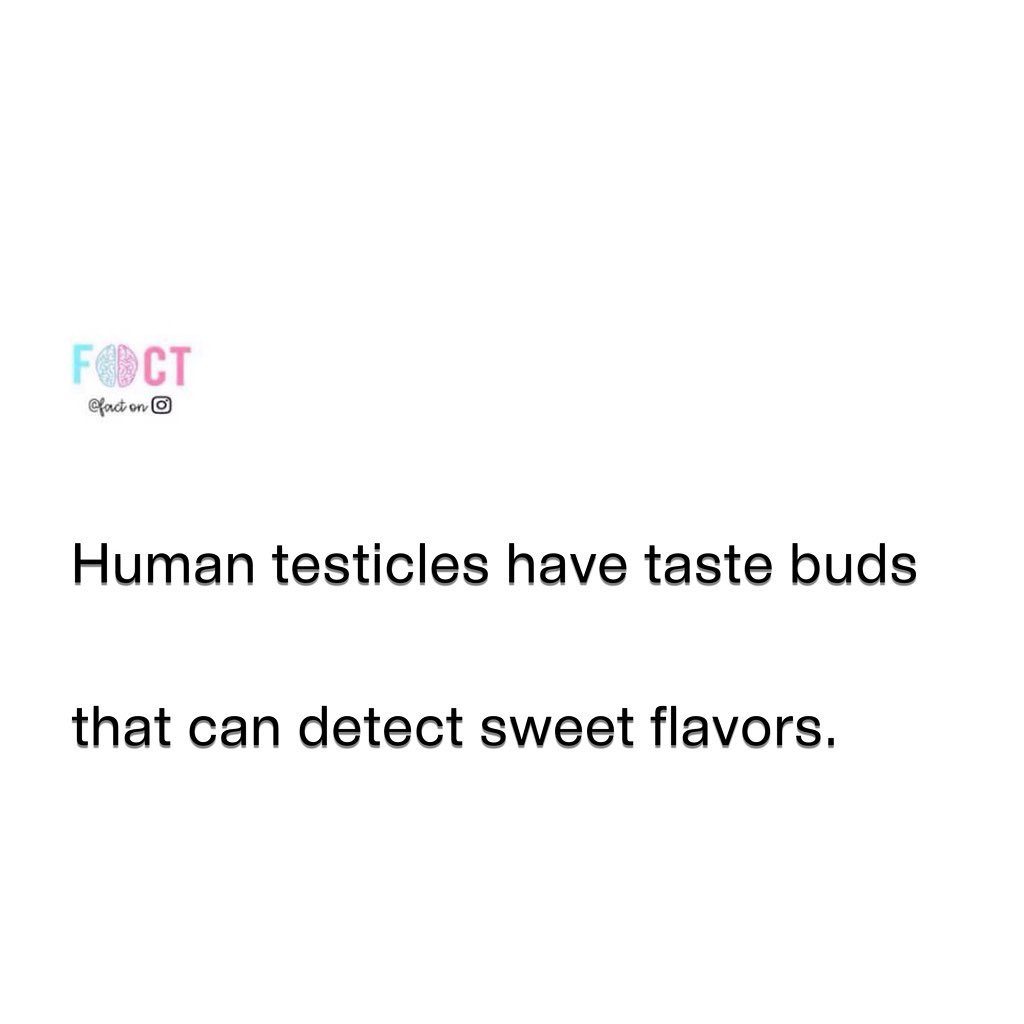 Testicles' Surprising Secret: Taste Buds
