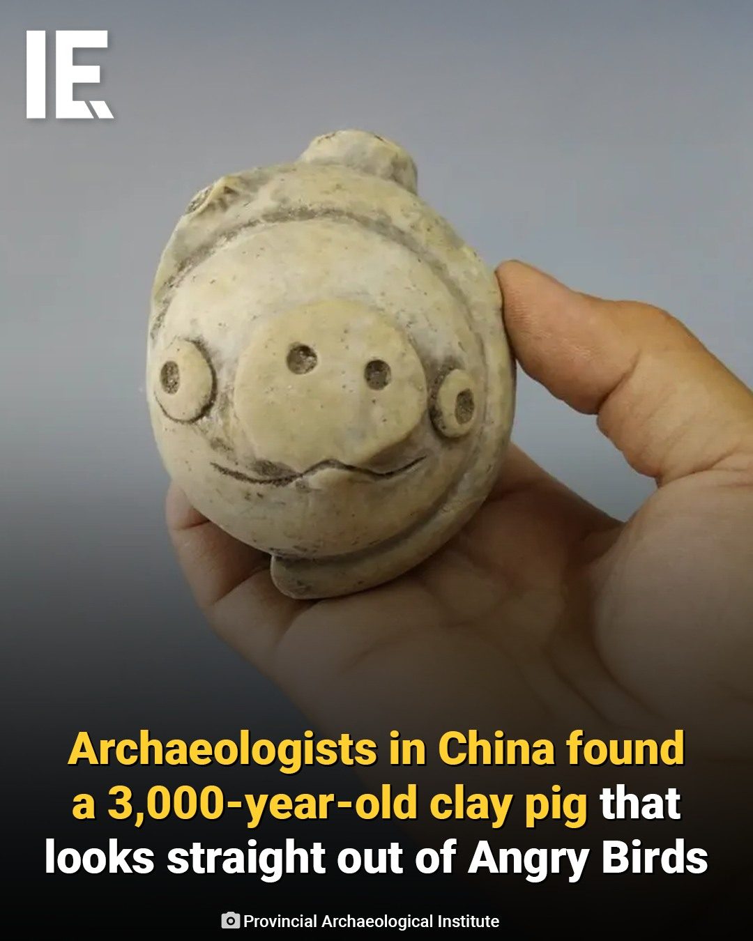 Ancient Pig Figurine From China Resembles Angry Birds