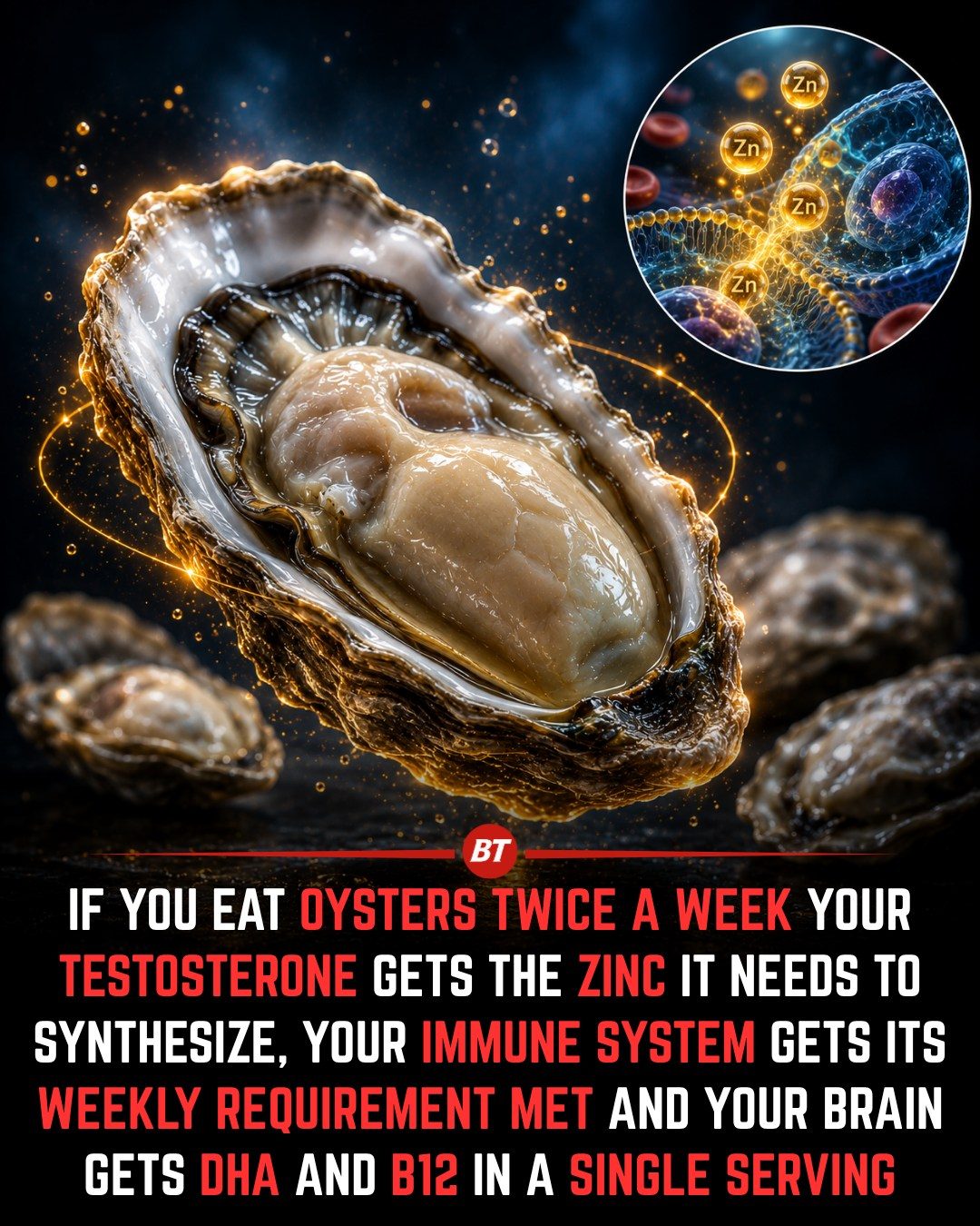 Oysters' Surprising Benefits: Boost Testosterone and Immune System