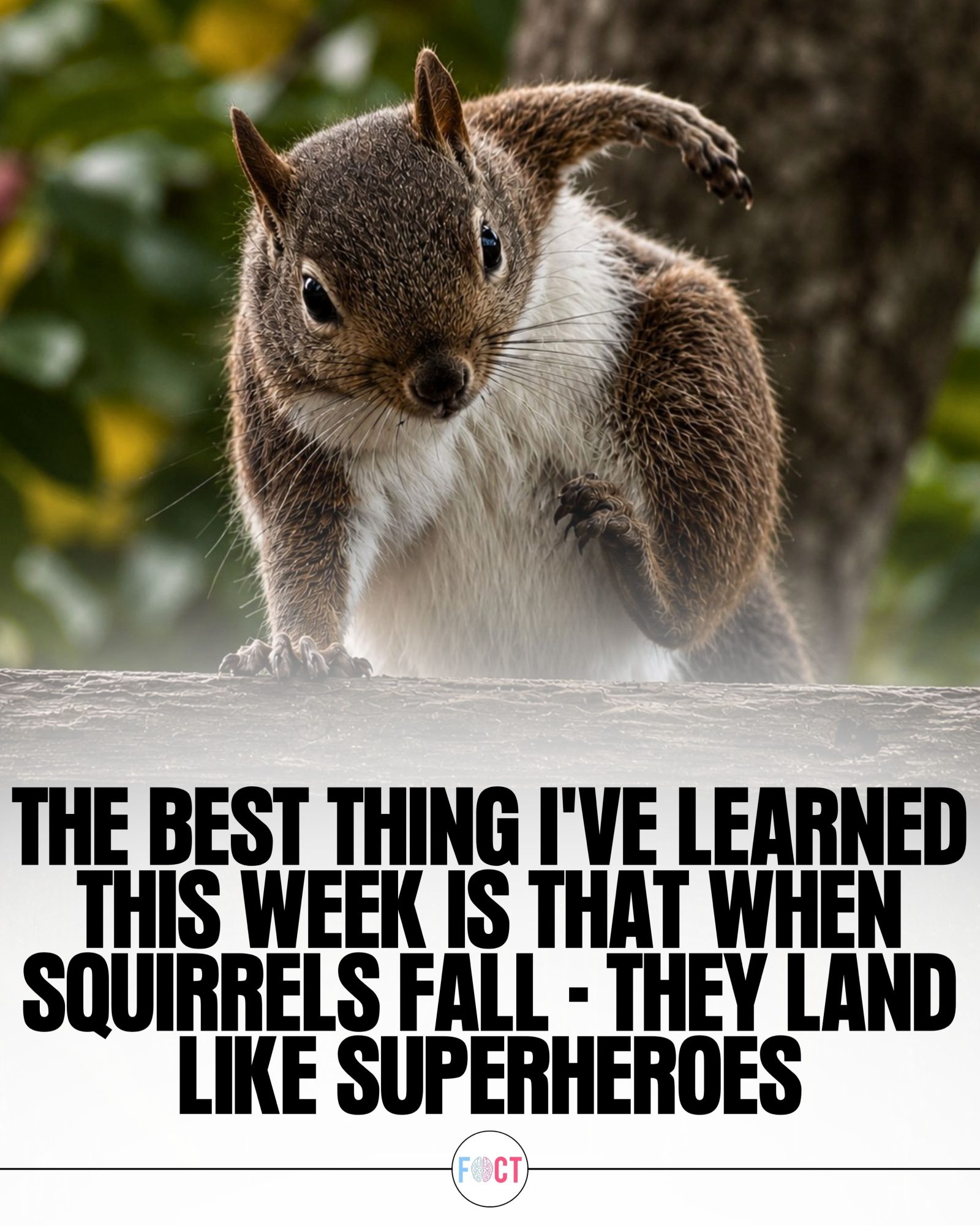 Squirrels' Incredible Superhero Landings