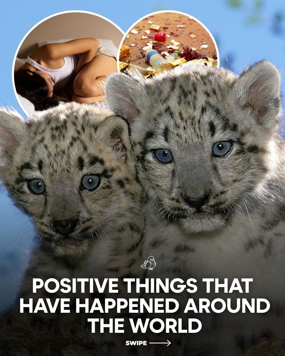 Inspiring Environmental Wins and Positive Global Developments