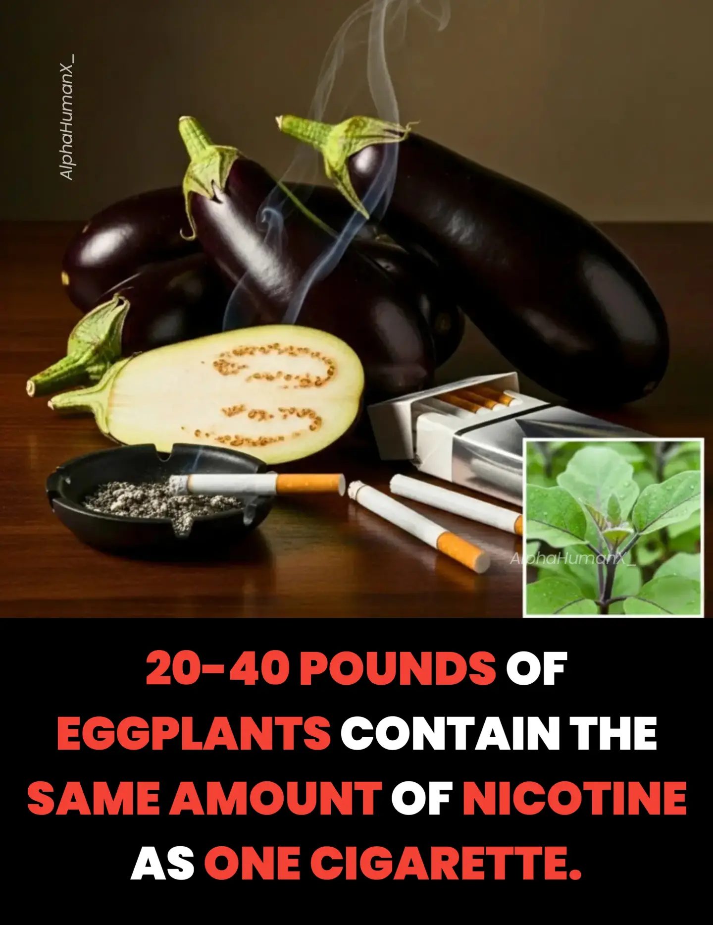 Eggplants Contain Nicotine: Surprising Fact