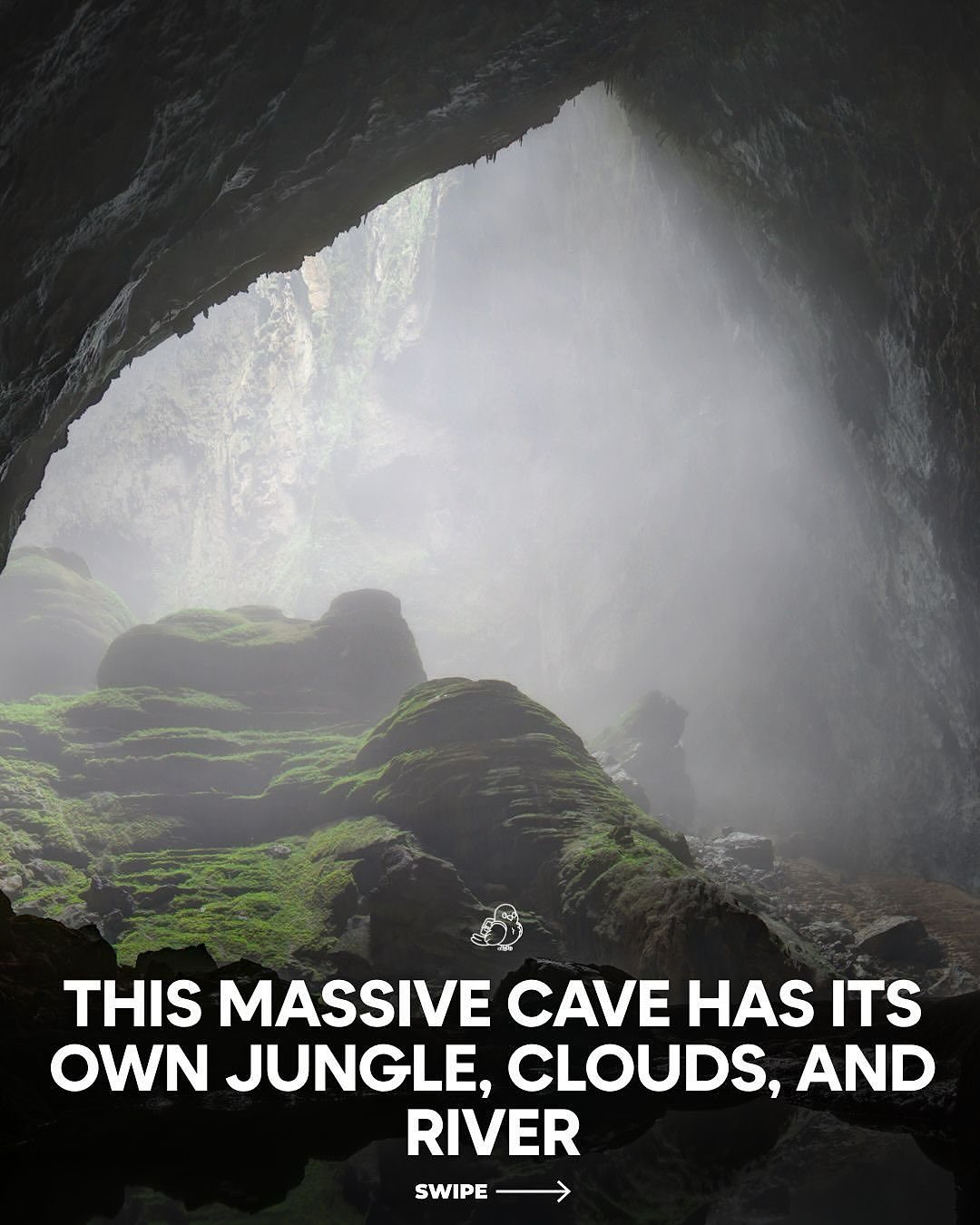 Exploring Son Doong Cave: A World Within