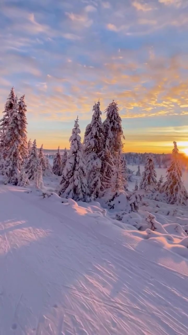 Cross-Country Skiing in Winter Wonderland