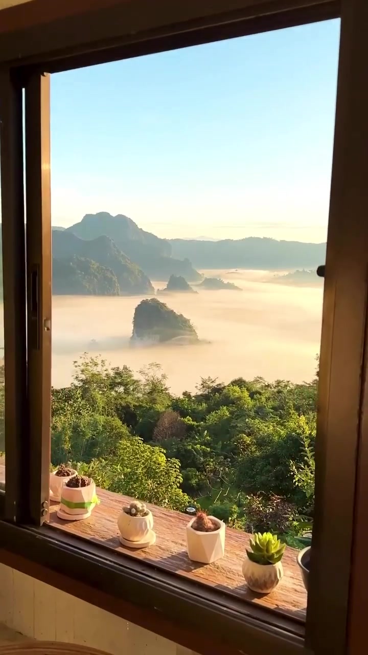 Mountain Fog Scenery: Sunrise Viewpoints