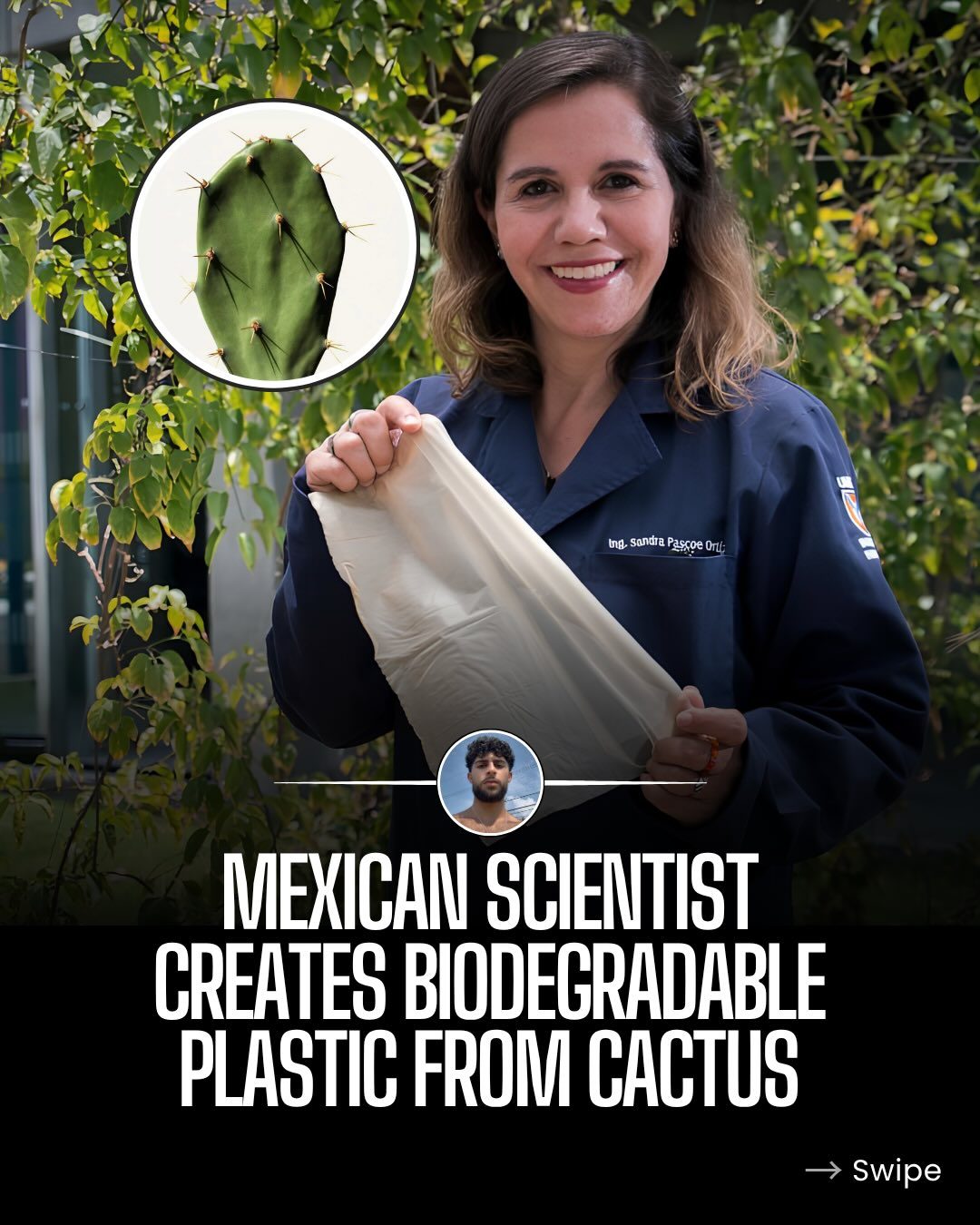 Sustainable Cactus Plastic: Eco-Friendly Alternative to Traditional Plastics