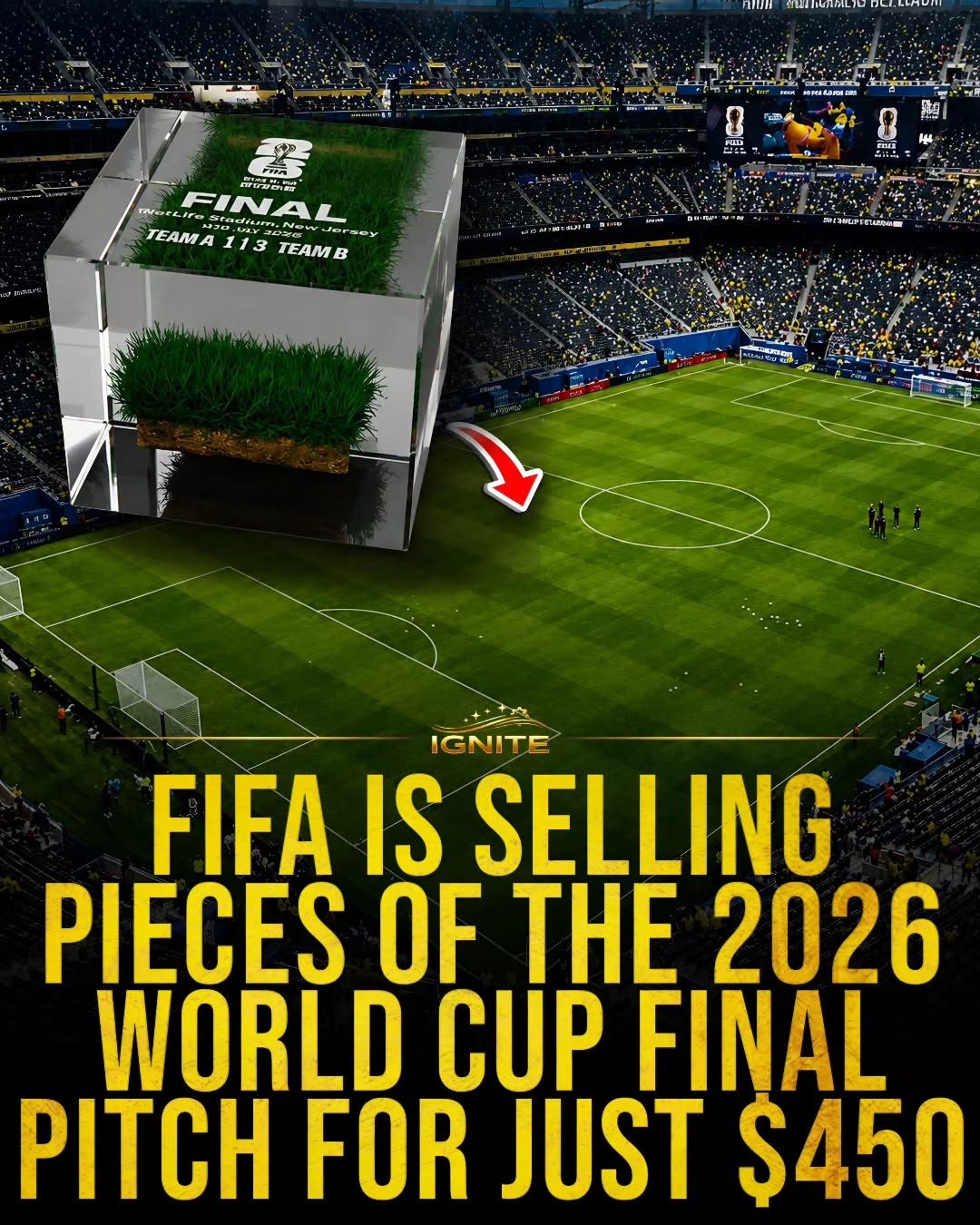 2026 World Cup Pitch Pieces for Sale