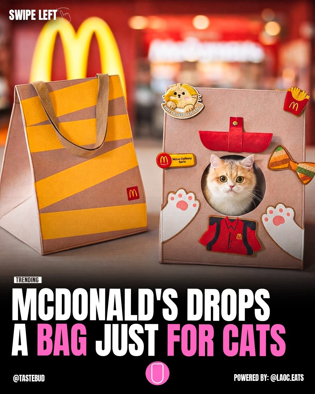 McDonald's Launches Exclusive Cat Bag in Singapore