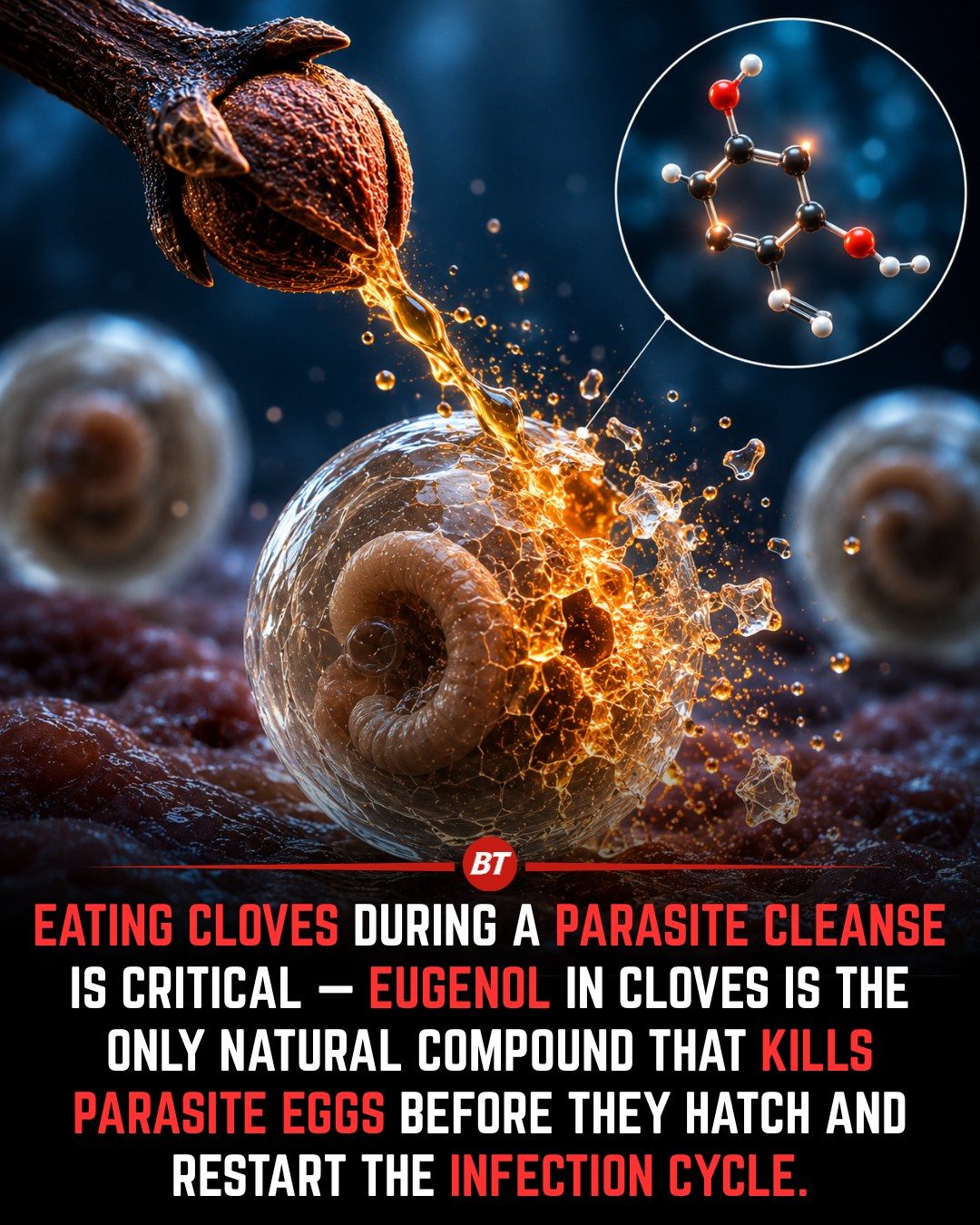 Cloves' Secret Weapon Against Parasite Eggs