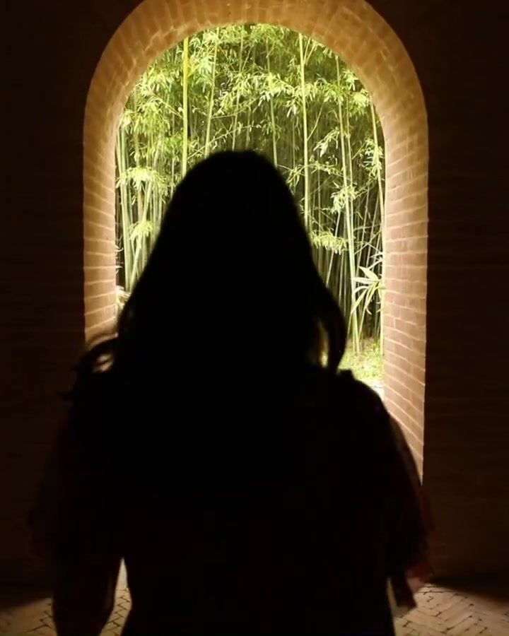 Exploring Bamboo Forest Beauty Through an Arched Doorway