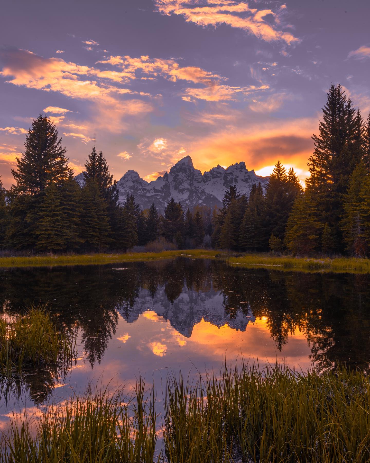 Mountain Sunset Reflection: Lake and Evergreen Trees